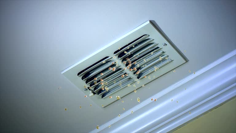 Best Affordable Air Duct Cleaning  in Eagle Mountain, UT
